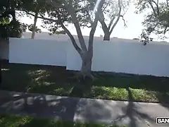 デカチン, フェラチオ, 口内発射, バック, Hd, 怪物, 馬乗り