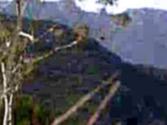 Anaal, Kont naar mond, Grote lul, Pijpbeurt, Sperma in gezicht, Natuurlijke tieten, Klein, Tieten likken