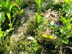 18 jahre, Grosser arsch, Blasen, Betrug, Selbstgemacht, Indisch, Japanische massage, Im freien