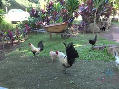 Amateur, Rubia, Penetracion con dedos, Al aire libre, Coño, Flaco, Tetas, Mojado