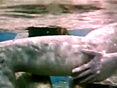 Rasputin - Orgien am Zahrenhof (1983)