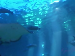 Leie, Blondine, Fingern, Freundin, Behaart, Im freien, Muschi, Spanner