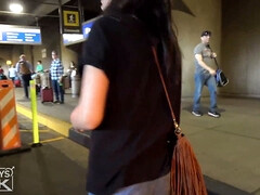 Grote lul, Pijpbeurt, Universiteit, Sperma shot, Hondjeshouding, Hd, Monster, Tieten likken