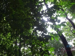 Corridas faciales, Pajear, Orgasmo, Al aire libre, Público, Coño, Tetas, Mojado