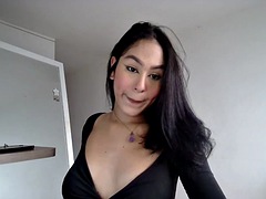 Bruinharig, Schattig, Vriendin, Tieten likken