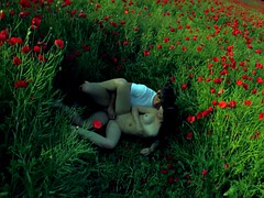 Love Among Flowers