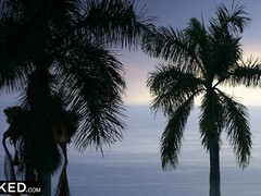 Anal, Sucer une bite, Queue, Interracial, Léchez, Chatte, Chevaucher, Nénés