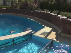 Sunny Day and Fun Evening in Vegas