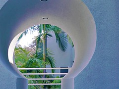 lesbian milf rides face