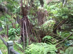 アウトドア, ハメ撮り, オマンコ, 剃毛, ガリガリ, おもらし, オッパイの, 濡れ