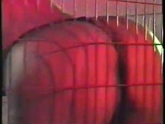 Tetas grandes, Madres para coger, Solo