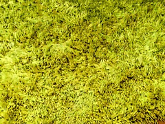 Анальный секс, Большие сиськи, Бабушки, Зрелые, Натуральные сиськи, Чулки, Сиськи, Игрушки