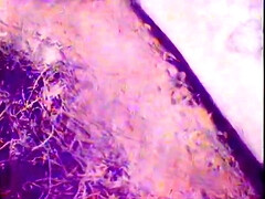 アナル, デカ尻, デカパイ, ブロンド, チン, Hd, ヴィンテージ