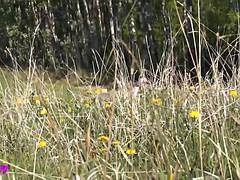 Любители, На природе, Игрушки