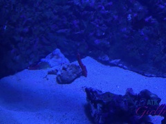 Daddy, Voetbeurt, Masturbatie, Orgasme, Gezichtspunt, Openbaar, Spuiten, Nat