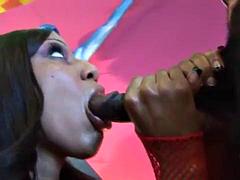 America Double Teamed: Blowjob, Doggy  Cowgirl Porn