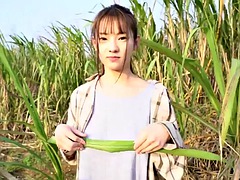 Aziatisch, Lieveling, Japaans, Gezichtspunt, Openbaar, Softcore pornografie, Alleen