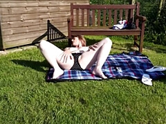 Britannique, Femelle, Hd, Mature, Solo