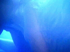 Amateur, Gros seins, Blonde, Sucer une bite, Brunette brune, Branlette thaïlandaise, Hd, Rétro ancien