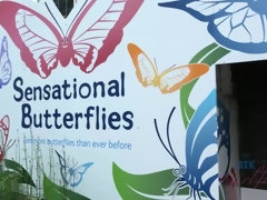 Amateur, Sucer une bite, Jeans, Pov, Chatte, Rasée, Maigrichonne, Fumer