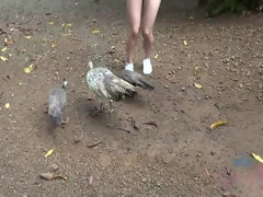 素人, 黒人, 指いじり, 露出狂, オーガズム, 小柄, のぞき, 濡れ