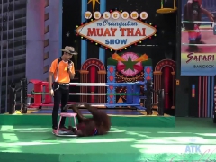 You cum on Jamie Marleigh's face POV style