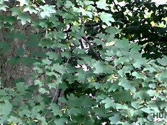 Blond, Pijpbeurt, Man die toekijkt, Europees, Hd, Geld, Gezichtspunt, Realiteit