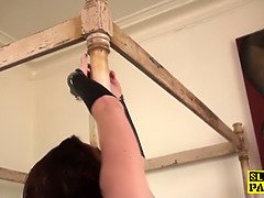 Bondage domination sadisme masochisme, Gros seins, Brunette brune, Femme couguar, Gorge profonde, Fétiche, Mère que j'aimerais baiser