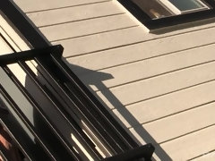 18 ans, Blonde, Sucer une bite, Tir de sperme, Faciale, Branlette thaïlandaise, Petite femme, Adolescente