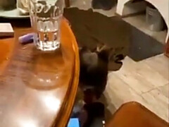 素人, デカ尻, デカパイ, 茶髪の, 自家製, レズビアン, オナニー, ティーン