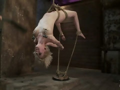 Sadomasochismus, Fesselspiele, Domination, Fingern, Erniedrigung, Bestrafung