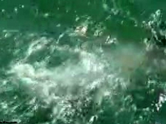 Amateur, Plage, De plein air, Adolescente, Voyeur