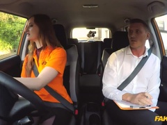 Enthousiasteling, Pijpbeurt, Auto, Hondjeshouding, Handbeurt, Buiten, Gezichtspunt, Kut duiken