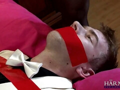 Culo, Culo grande, Tetas grandes, Tetona, Dominacion femenina, Sexo duro, Lencería, Madres para coger