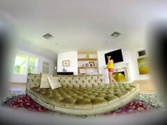 茶髪の, Hd, 自然山雀, 一人