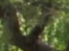 Mamada, Estilo perrito, Pajear, Masturbación, Al aire libre, Pov, Nalgadas, Chorro