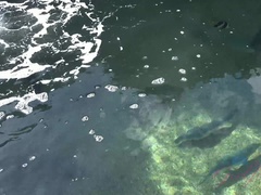 Aziatisch, Strand, Badpak, Vingeren, Flashing, Vriendin, Naakt, Roken