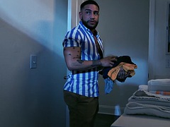 Anaal, Grote lul, Pijpbeurt, Bruinharig, Homo, Hardcore