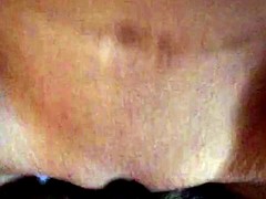 Leie, Braunhaarige, Besamung