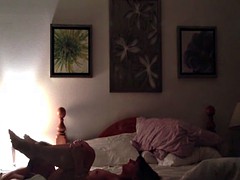 Amateur, Hard, Léchez, Adolescente