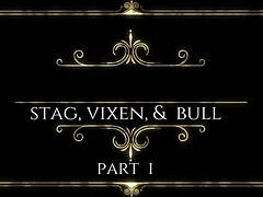 Kont, Lieveling, Grote kont, Grote mammen, Hardcore, Interraciaal, Kut duiken, Tieten likken