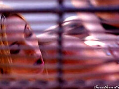 Жопа, Язык в попке, Блондинки, Дилдо, Платье, Натуральные сиськи, На природе, Чулки