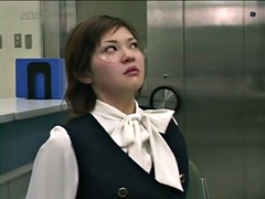 Sadomasoquismo, Sexo duro, Japonés