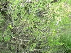 Anal, Rubia, Sexo duro, Hd, Al aire libre, Pov, Adolescente, Tetas