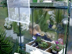 Tetas grandes, Rubia, Mamada, Tetona, Madres para coger, Orgasmo, Coño, Tetas