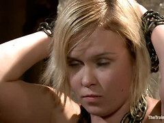 美人, フェラチオ, 古典, チン, ハードコア, 天然, 乳首, オッパイの