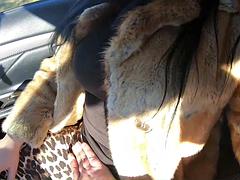 素人, フェラチオ, コンピレーション, ハードコア, ラティーナ, 淫乱熟女, ヤリマン, フェラする