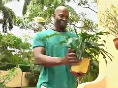 In den arsch, Asiatisch, Wohlbeleibte schöne frauen, Interrassisch