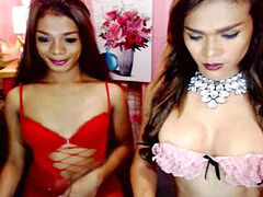 Enthousiasteling, Shemale