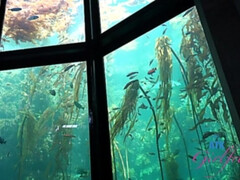 In den arsch, Grosser arsch, Blondine, Blasen, Besamung, Freundin, Muschi, Rasiert